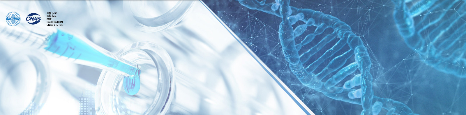 首页Banner5
